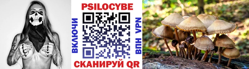 Псилоцибиновые грибы ЛСД  закладка  Курск 